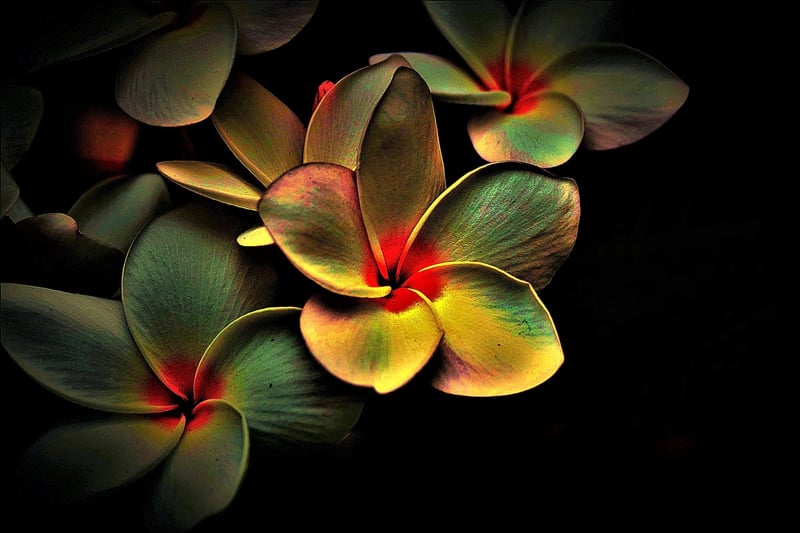 Quantum Fabric